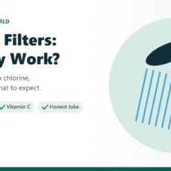 Illustration of a showerhead with an inline shower filter