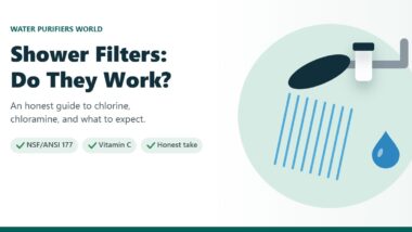 Illustration of a showerhead with an inline shower filter